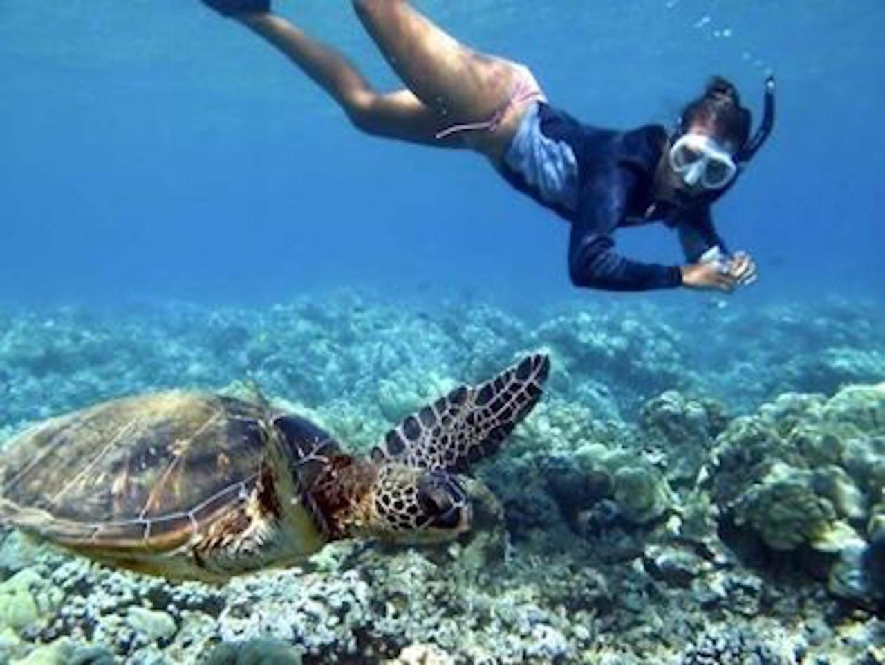 El Jardin De Shambala Hotel Gili Air Kültér fotó